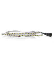 STRISCIA LED 24V 9W/M 5MT 3000K LUCA CALDA