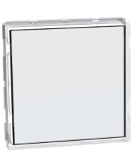 PULSANTE TARGA PORTANOME 1P (NO) 3A 250VACM