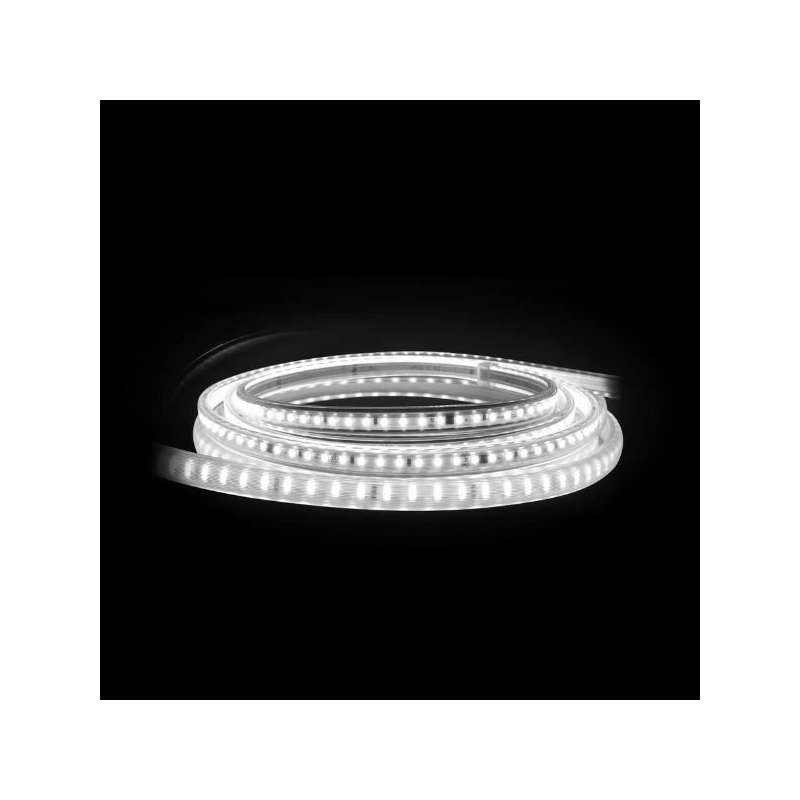 STRISCIA LED 50MT. 220V 8W/MT. 120LED/MT. 5700K