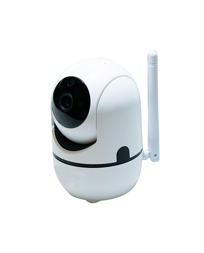 TELECAMERA IP SMARTLIFE 2,4GHZ P&P MOTORIZZATA