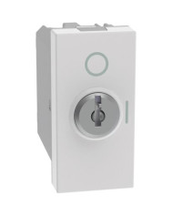 INTERRUTTORE A CHIAVE 2P 10 AX 250VAC