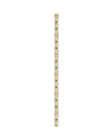 STRISCIA LED 24V 14W/M 5MT 168LED/M 3000K IP20