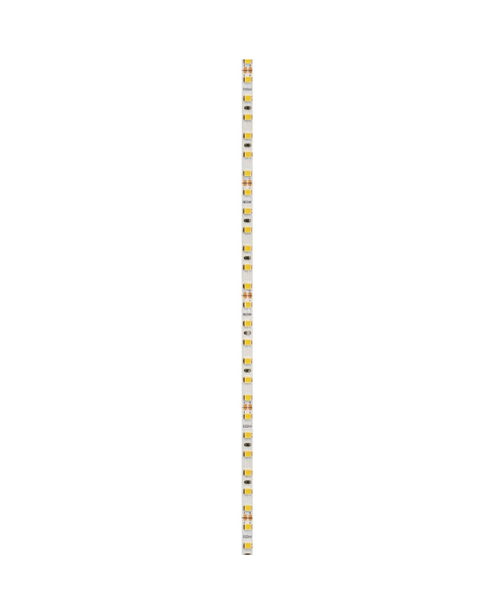 STRISCIA LED 24V 9W/M 5MT 120LED/M 3000K