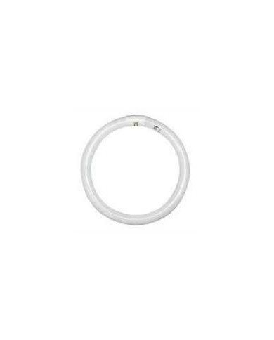 NEON CIRCOLARE 22W / 865 LUCE FREDDA