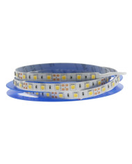 STRISCIA LED 12V 14W/M IP65 5MT 6000K L.FREDDA SMD5050 60LEDS/M