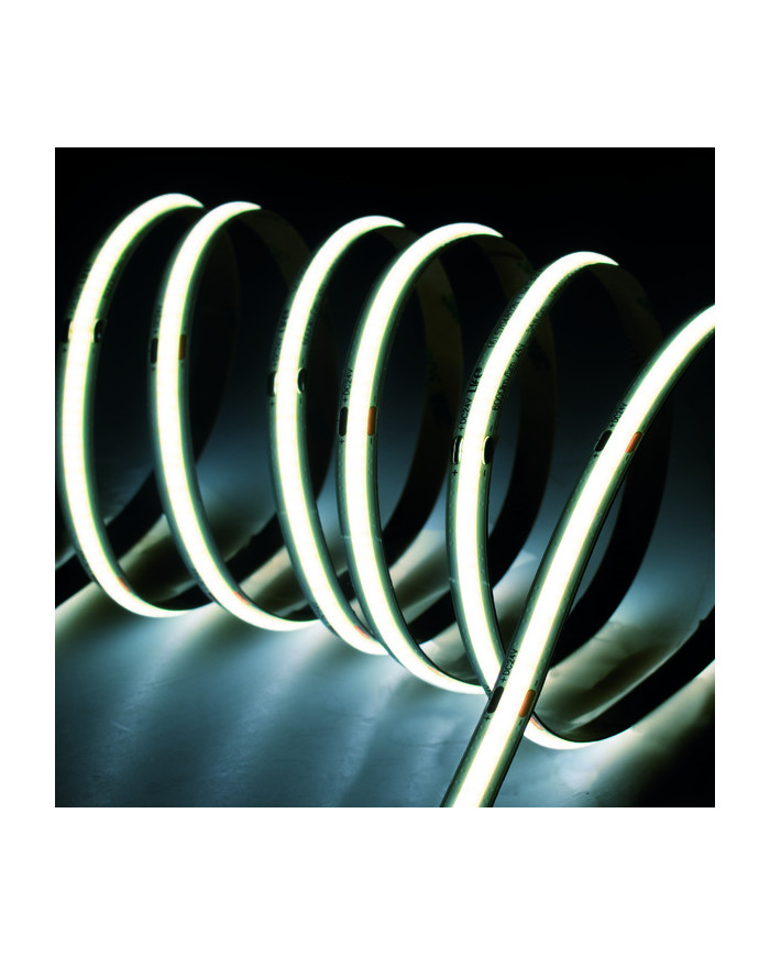 STRISCIA LED COB 24V 8W/M IP20 LUCE FREDDA 6500K