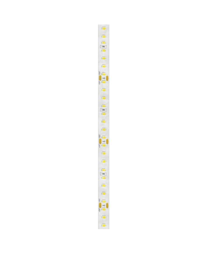 STRISCIA LED 24V 12W/M 5MT 128LED/M 3000K IP65