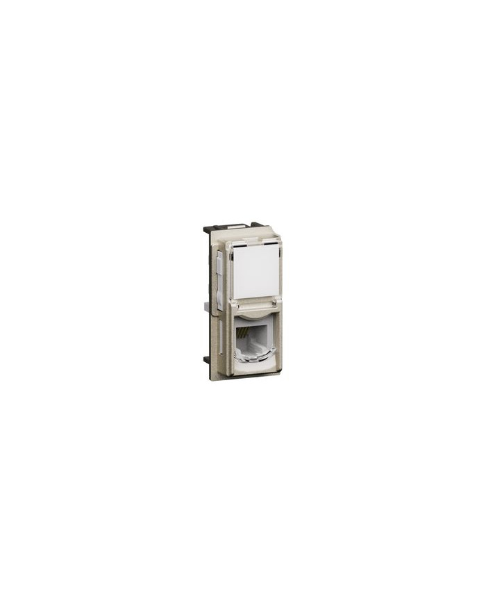 CONNETTORE RJ11 1 MODULO CHAMPAGNE LIVING NOW