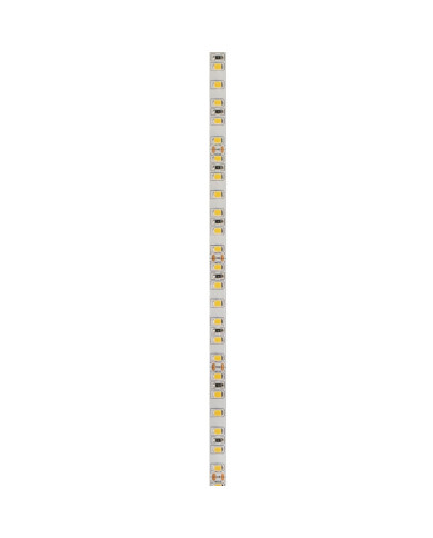 STRISCIA LED 24V 9,6W/M 5MT 120LED/M 2700K IP20