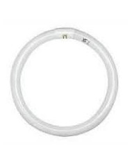 NEON CIRCOLARE 32W / 865 LUCE FREDDA