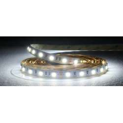 STRISCIA LED 24V 14,4W/M IP20 LUCE FREDDA 6500K