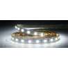 STRISCIA LED 24V 14,4W/M IP20 LUCE FREDDA 6500K