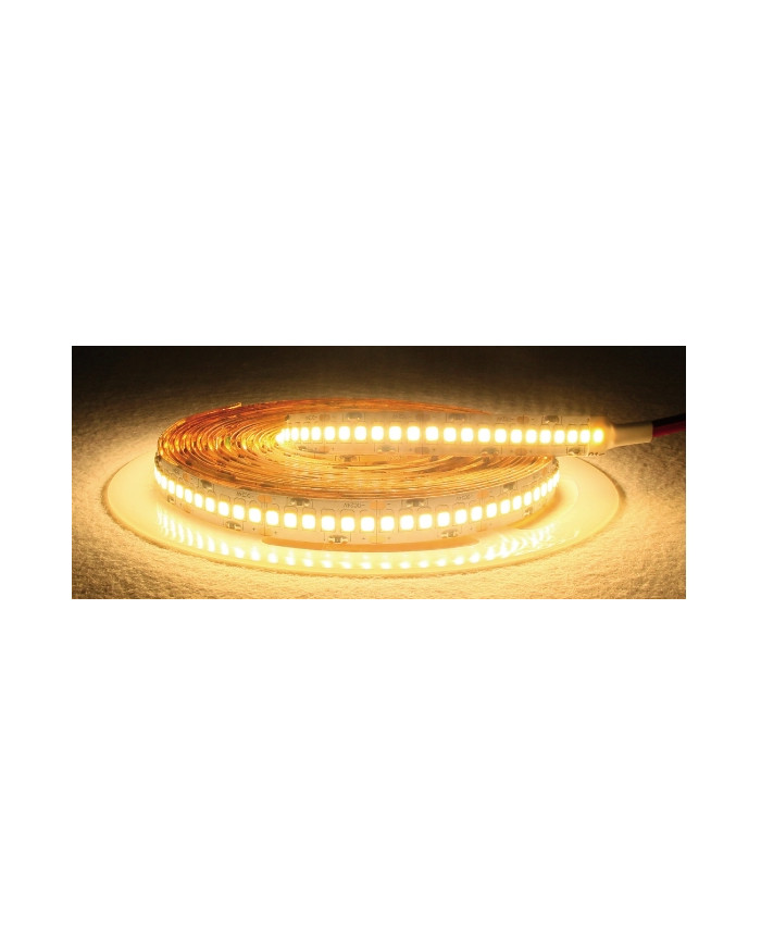 STRISCIA LED 24V 24W/M IP20 LUCE CALDA 3000K