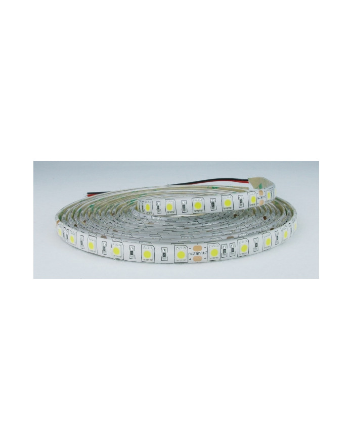 STRISCIA LED 24V 14,4W/M IP65 60 LED LUCE FREDDA