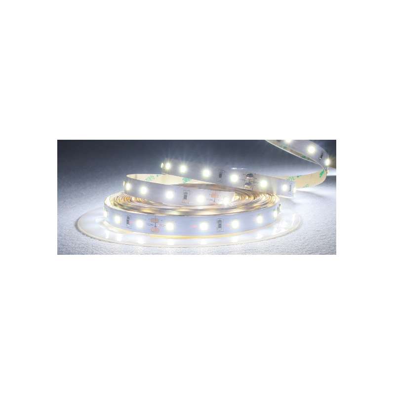 STRISCIA LED 24V 8W/M IP20 LUCE FREDDA 6500K