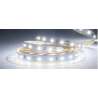 STRISCIA LED 24V 8W/M IP20 LUCE FREDDA 6500K