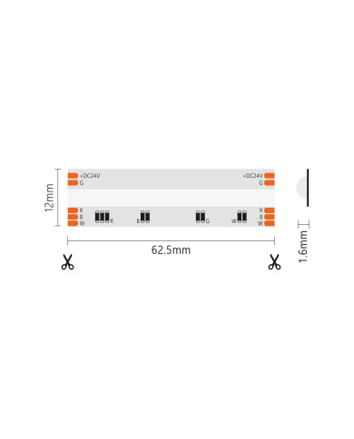 STRISCIA LED COB 5 METRI RGB-W 24V 12+4W/M IP20