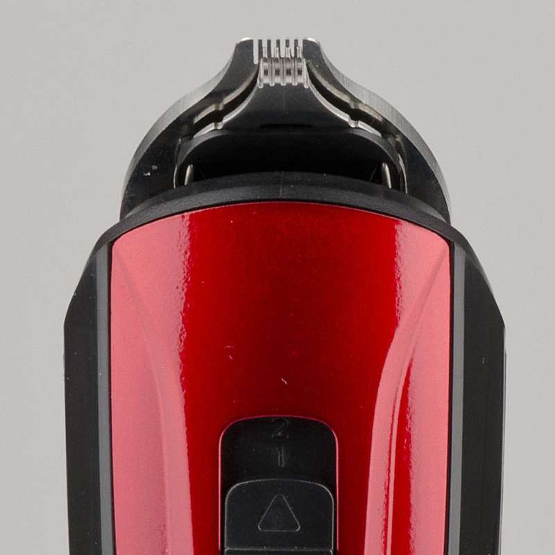 REGOLACAPELLI E BARBA 5 IN 1 GIRMI