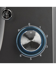 IMPASTATORE PROFESSIONALE PLANETARIA 6 VELOCITA