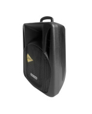 CASSA AMPLIFICATA CON BLUETOOTH/USB/SD 360W