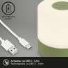 LAMPADA DA TAVOLO A BATTERIA 2W 150LM VERDE