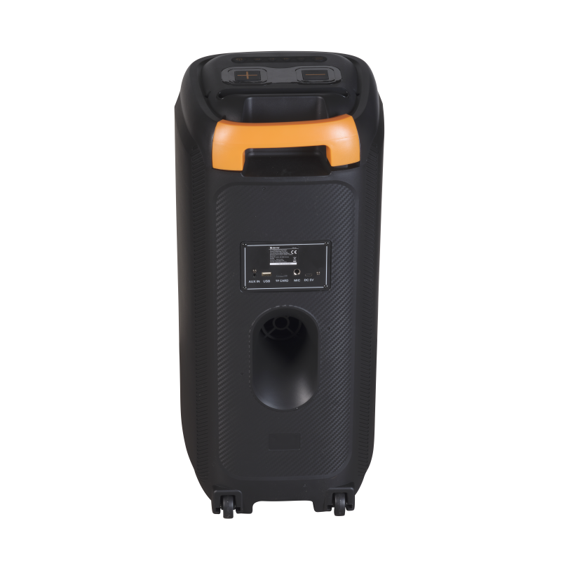 CASSA AMPLIFICATA BLUETHOOT 1000W