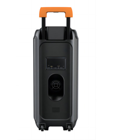 CASSA TROLLEY AMPLIFICATA BLUETHOOT CON BATTERIA