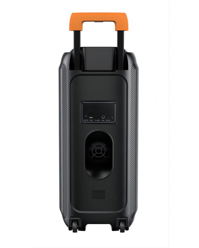 CASSA TROLLEY AMPLIFICATA BLUETHOOT CON BATTERIA