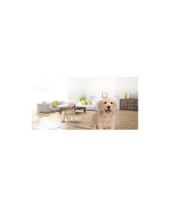 TELECAMERA DA INTERNO WI-FI FULL-HD 1080P