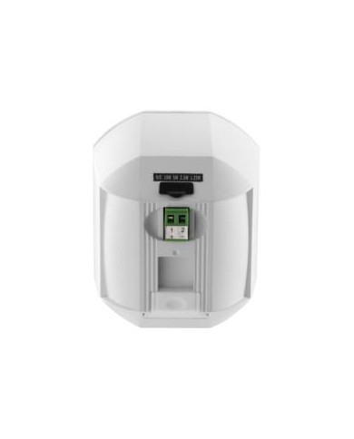 COPPIA CASSE MINI DIFFUSORI 20WATT 100V