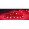STRISCIA LED 24V 19,2W/M IP20 5050 60LED/M RGB+BIA