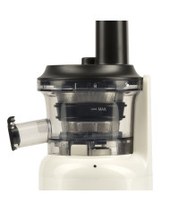 ESTRATTORE DI SUCCHI 300W GIRMI