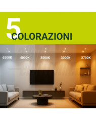 MODULO LED PER PORTAFARETTO D.50 10W CCT